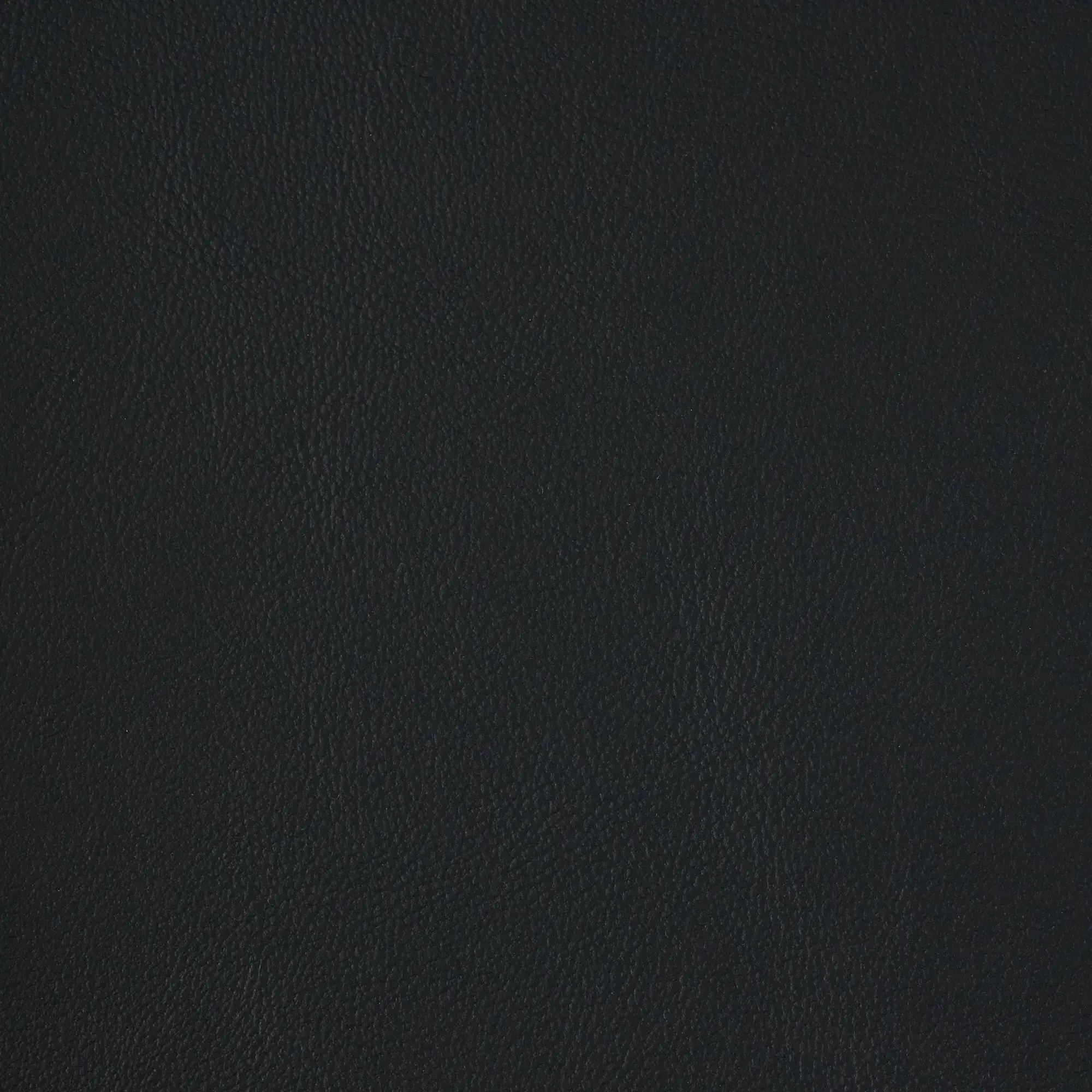 Hailey Black Vegan Leather Dining Chair - Black Legs