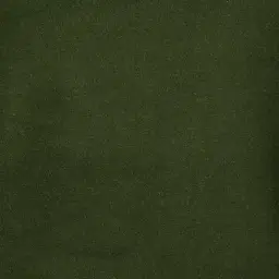 Humphrey Forest Green Velvet Occasional Chair