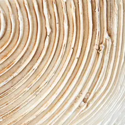 Anther Abstract Painting