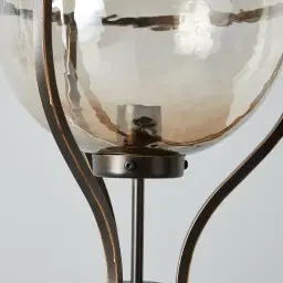 Divine Gilded Dark Bronze Floor Lamp