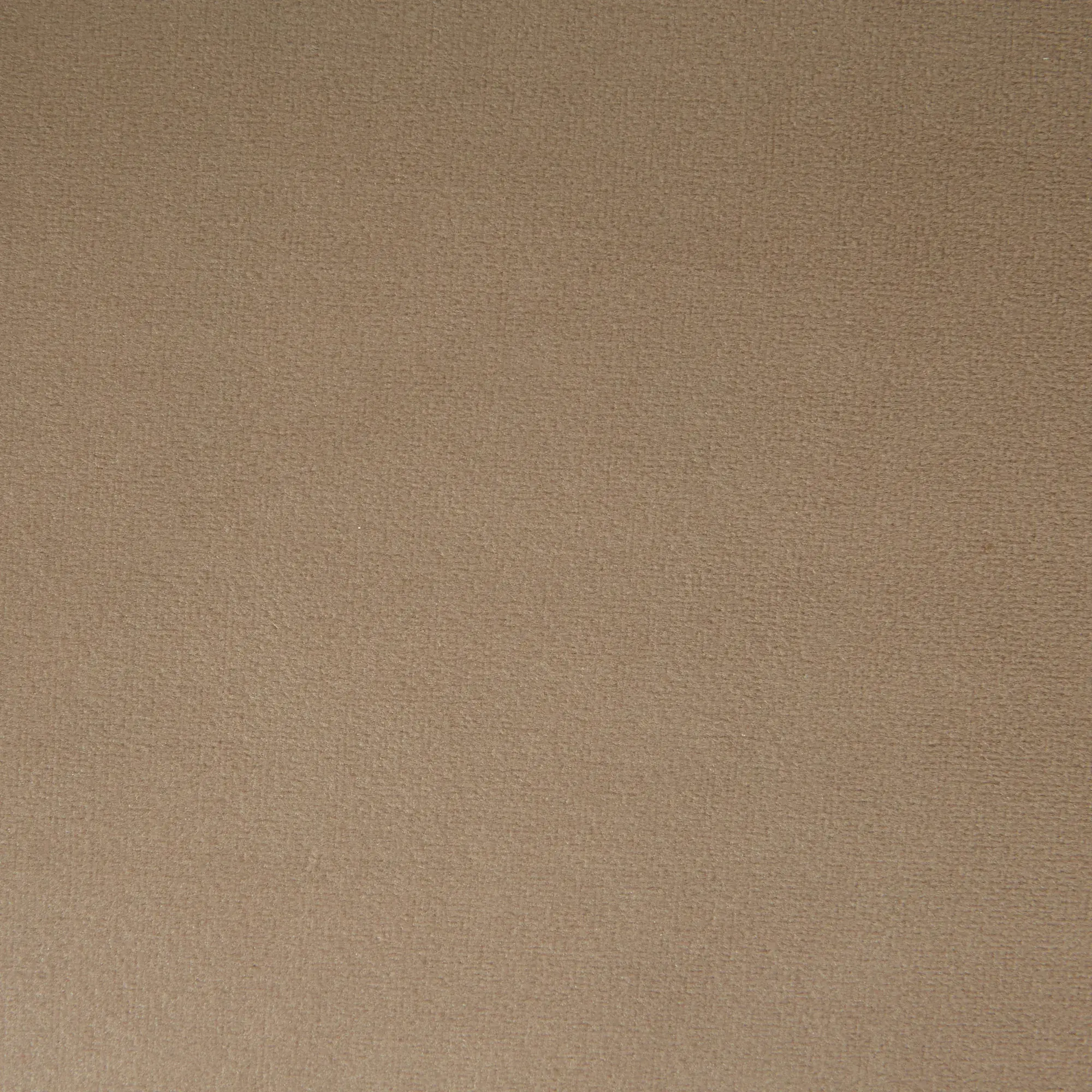Daniella Beige Velvet Occasional Chair