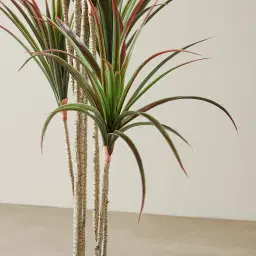 200cm Red and Green Dracaena Decorative Plant With Pot