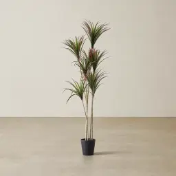 200cm Red and Green Dracaena Decorative Plant With Pot