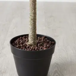 130cm Marginata Red Dracaena Decorative Plant With Pot