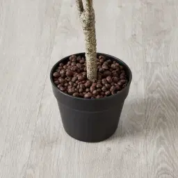 65cm Marginata Red Dracaena Decorative Plant With Pot