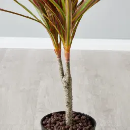 65cm Marginata Red Dracaena Decorative Plant With Pot