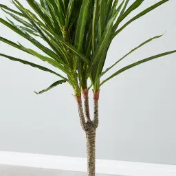 95cm Marginata Green Dracaena Decorative Plant With Pot
