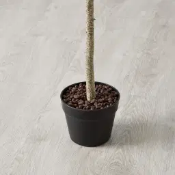 95cm Marginata Green Dracaena Decorative Plant With Pot