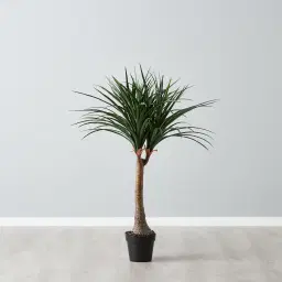 125cm Nolina Recurvata Decorative Plant With Pot