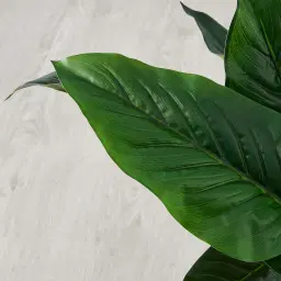 60cm Philodendron Decorative Plant With Pot