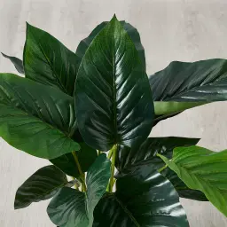 60cm Philodendron Decorative Plant With Pot