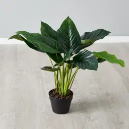 60cm Philodendron Decorative Plant With Pot