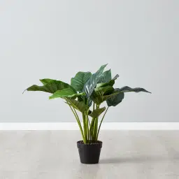 60cm Philodendron Decorative Plant With Pot