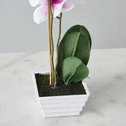 44cm Phalaenopsis Decorative Plant With Pot