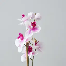 44cm Phalaenopsis Decorative Plant With Pot