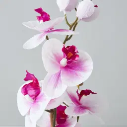44cm Phalaenopsis Decorative Plant With Pot