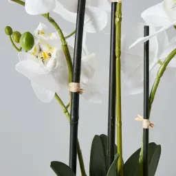 56cm Phalaenopsis Decorative Plant With Pot