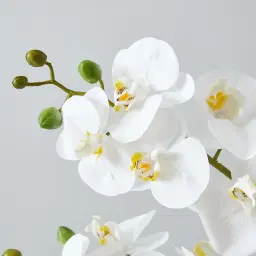 56cm Phalaenopsis Decorative Plant With Pot