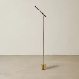 Kaia Brushed Gold Metal Floor Lamp Black Frosted Metal Shade