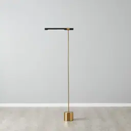 Kaia Brushed Gold Metal Floor Lamp Black Frosted Metal Shade