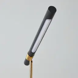 Kaia Brushed Gold Metal Floor Lamp Black Frosted Metal Shade