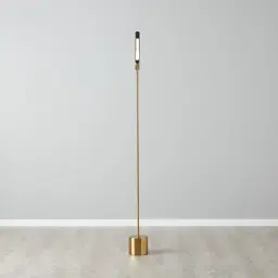 Kaia Brushed Gold Metal Floor Lamp Black Frosted Metal Shade