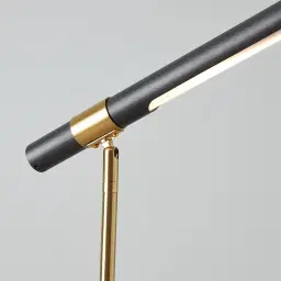 Kaia Brushed Gold Metal Floor Lamp Black Frosted Metal Shade