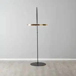 Halo Black Metal Floor Lamp-Brushed Gold Metal Ring
