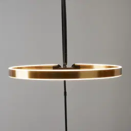 Halo Black Metal Floor Lamp-Brushed Gold Metal Ring