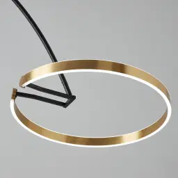Halo Black Metal Floor Lamp-Brushed Gold Metal Ring