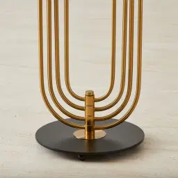 Diana Brushed Gold Metal Floor Lamp Black Metal Shade