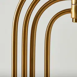 Diana Brushed Gold Metal Floor Lamp Black Metal Shade