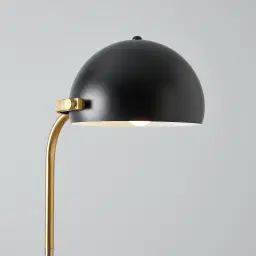Carly Brushed Gold Metal Floor Lamp Black Metal Shade
