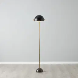 Carly Brushed Gold Metal Floor Lamp Black Metal Shade