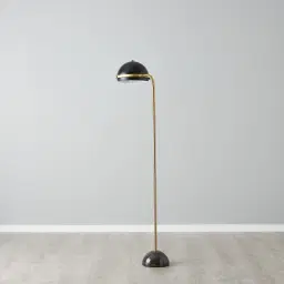 Carly Brushed Gold Metal Floor Lamp Black Metal Shade