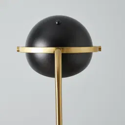 Carly Brushed Gold Metal Floor Lamp Black Metal Shade