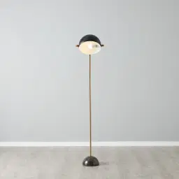 Carly Brushed Gold Metal Floor Lamp Black Metal Shade