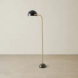 Carly Brushed Gold Metal Floor Lamp Black Metal Shade