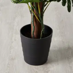 180cm Philodendron II Decorative Plant