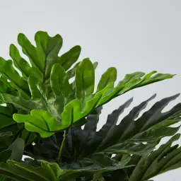 180cm Philodendron II Decorative Plant