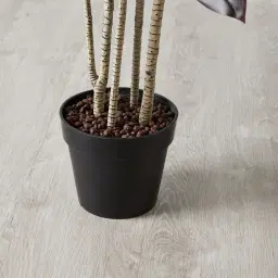 180cm Cordyline Fruticosa II Decorative Plant with Pot