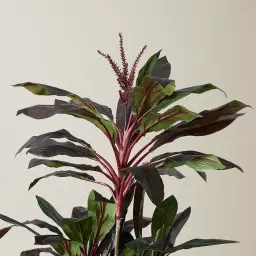 180cm Cordyline Fruticosa II Decorative Plant with Pot