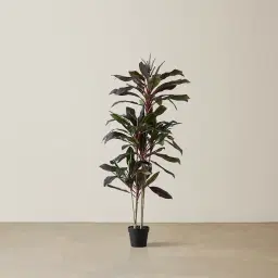 180cm Cordyline Fruticosa II Decorative Plant with Pot
