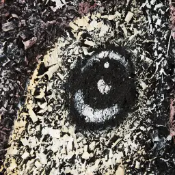 Earth-toned Toucan Painting