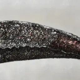 Earth-toned Toucan Painting