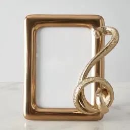 Desiree Polished Gold Metal Frame