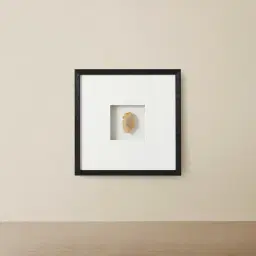 Terra Brown Agate Shadow Box With Black Frame