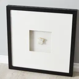 Snow White Crystal Shadow Box With Black Frame