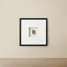 Tri-coloured Agate Shadow Box With Black Frame