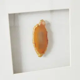 Terra Brown Agate Shadow Box With Gold Frame